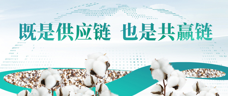 棉花的供应链，，，，，，尊龙凯时共赢链